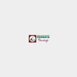 Logo Rumah Sakit Ibu Dan Anak Permata Purworejo